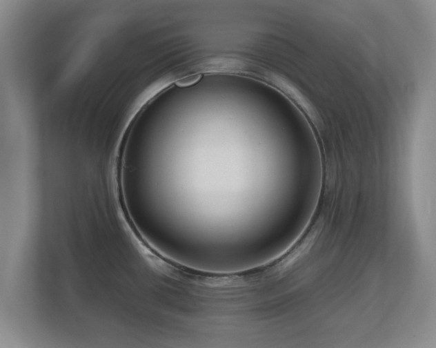 X0000112731434200908271419