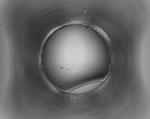 X0000112731436200908271419