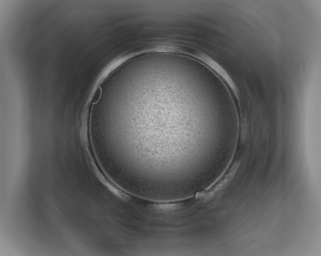 X0000112731437200908271419