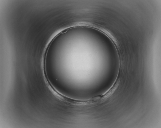 X0000112731438200908271419