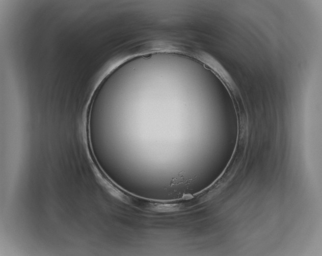 X0000112731439200908271419