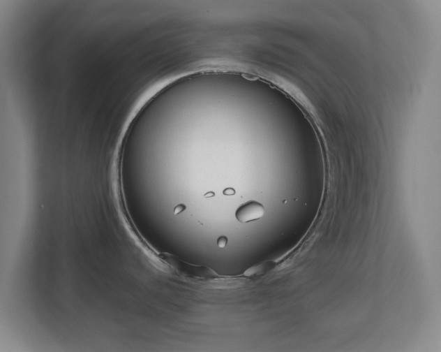 X0000112731440200908271419