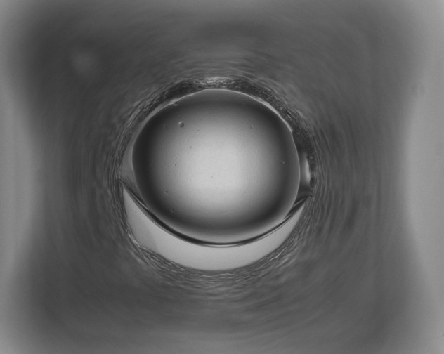 X0000112731441200908271419