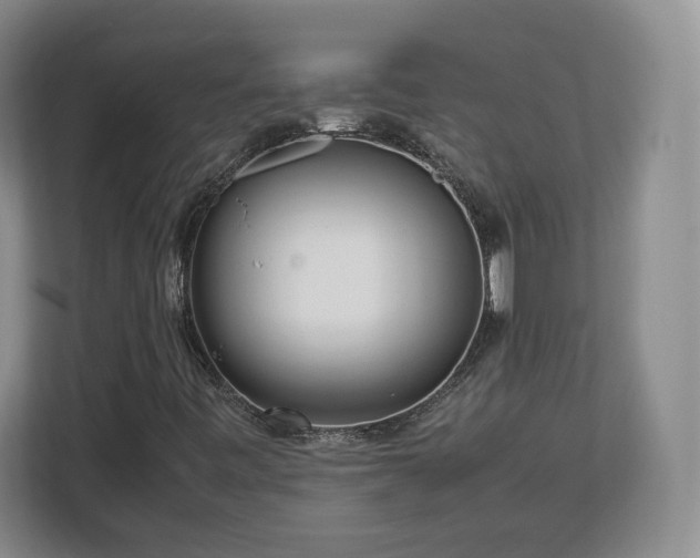 X0000112731443200908271419