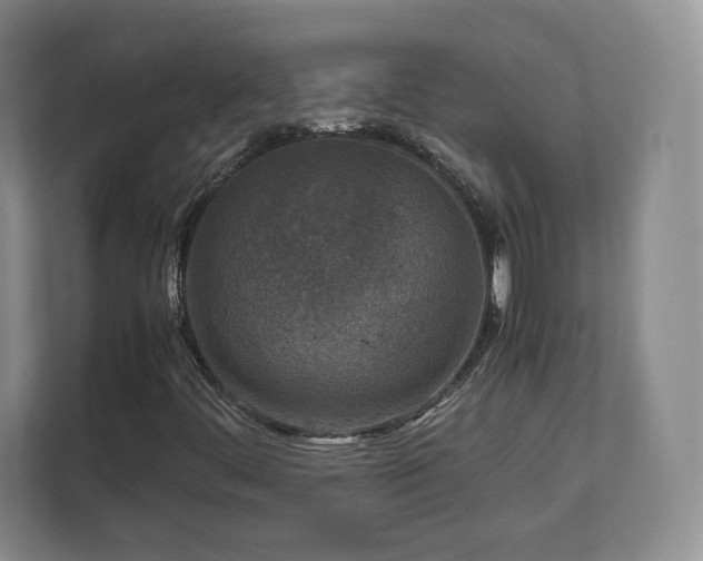 X0000112731444200908271419