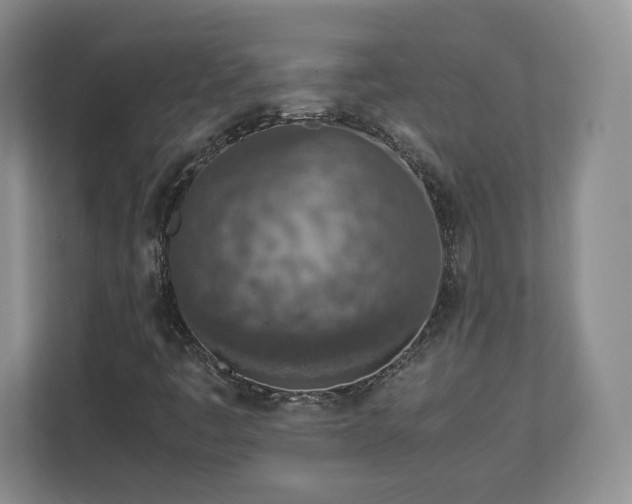 X0000112731445200908271419