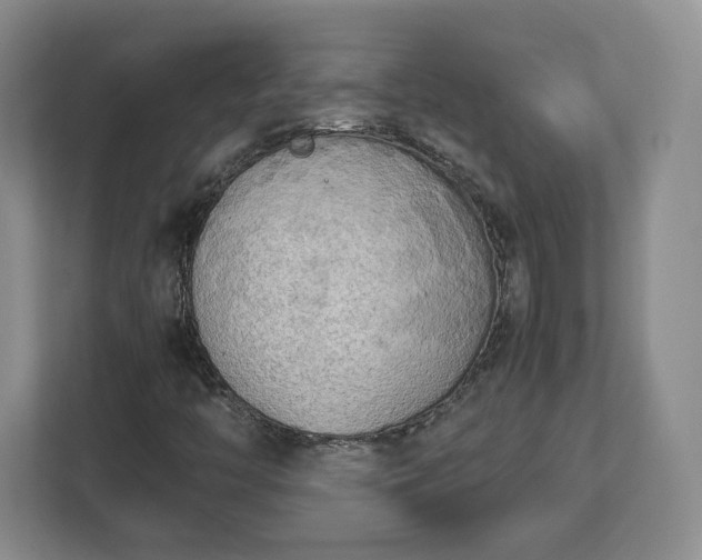 X0000112731446200908271419