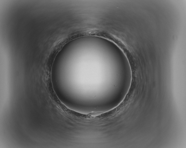 X0000112731447200908271419