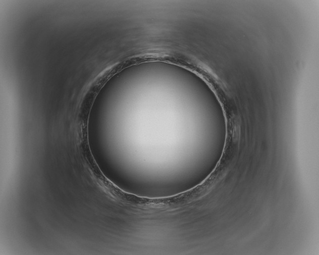 X0000112731448200908271419