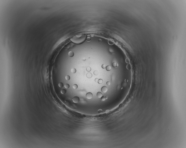 X0000112731450200908271419