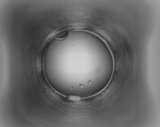 X0000112731451200908271419