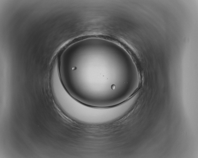 X0000112731452200908271419