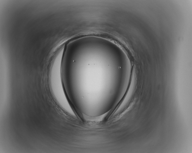 X0000112731453200908271419