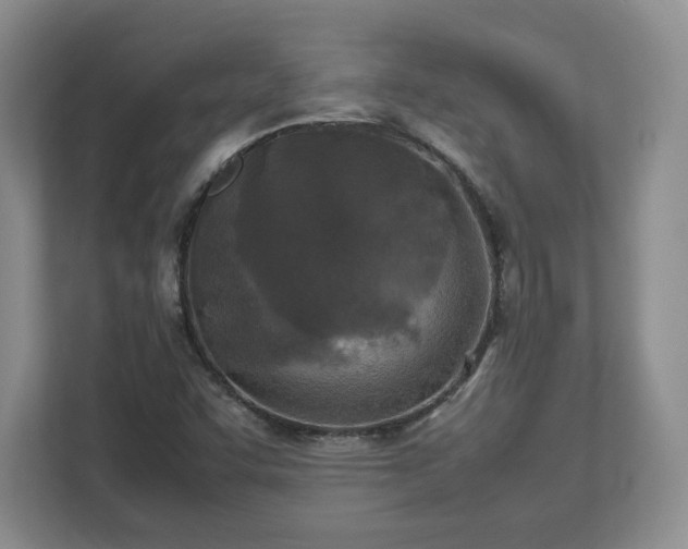 X0000112731455200908271418