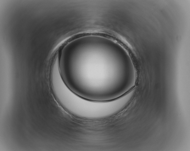 X0000112731456200908271418