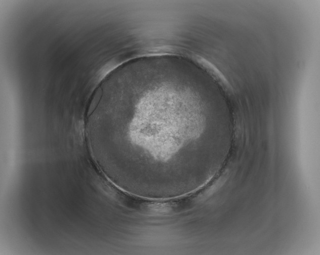 X0000112731457200908271418