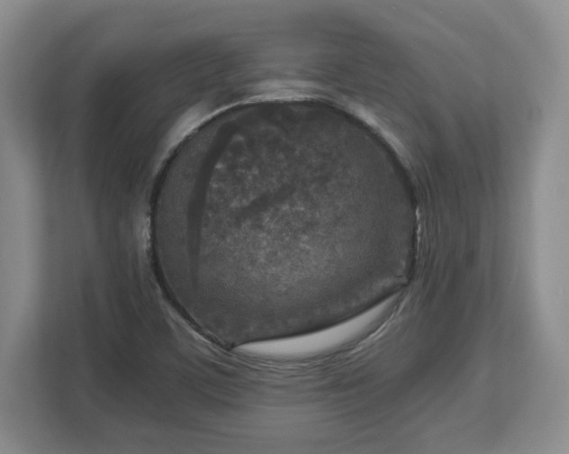 X0000112731459200908271418