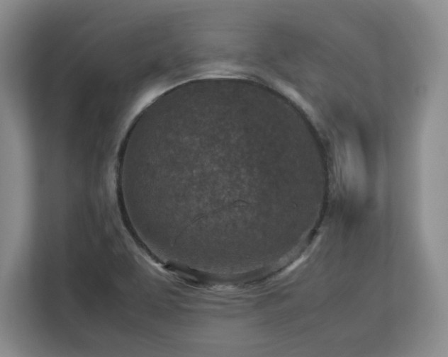 X0000112731463200908271418