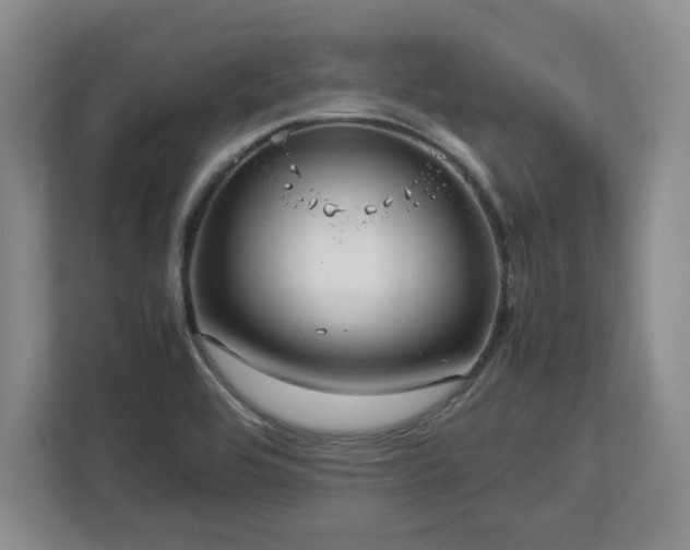 X0000112731464200908271418