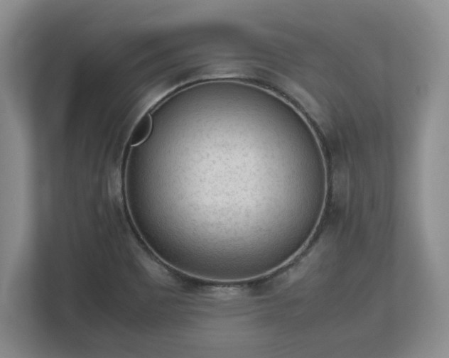 X0000112731465200908271418