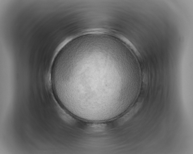 X0000112731466200908271418