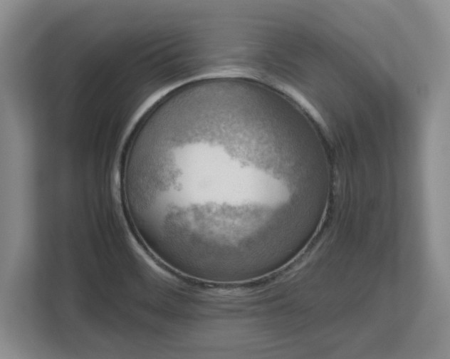 X0000112731468200908271418