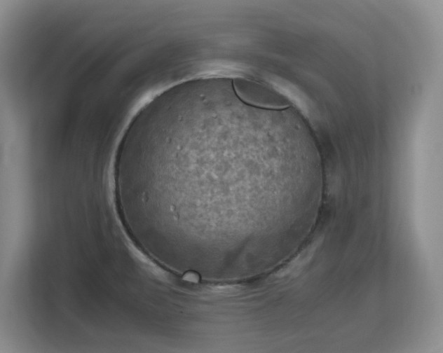 X0000112731471200908271418