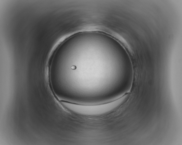 X0000112731472200908271418