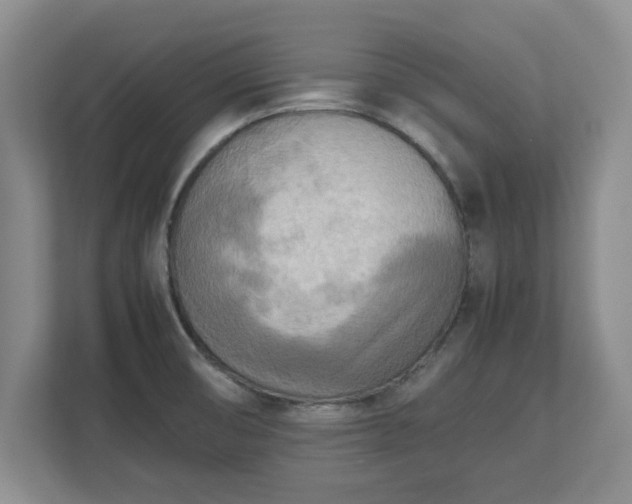 X0000112731474200908271418