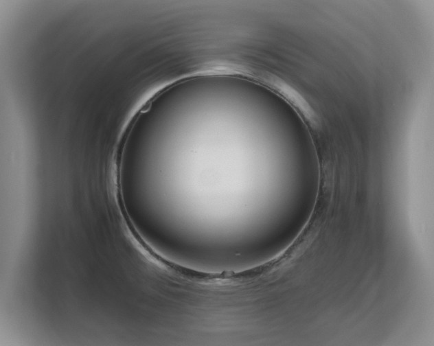 X0000112731476200908271418