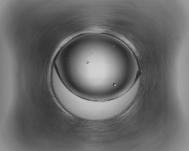 X0000112731477200908271418