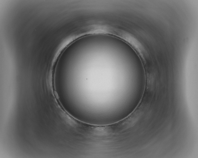 X0000112731480200908271418