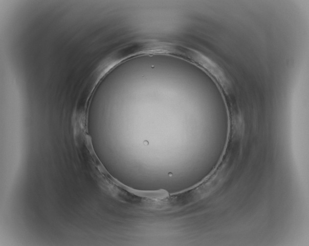 X0000112731481200908271418