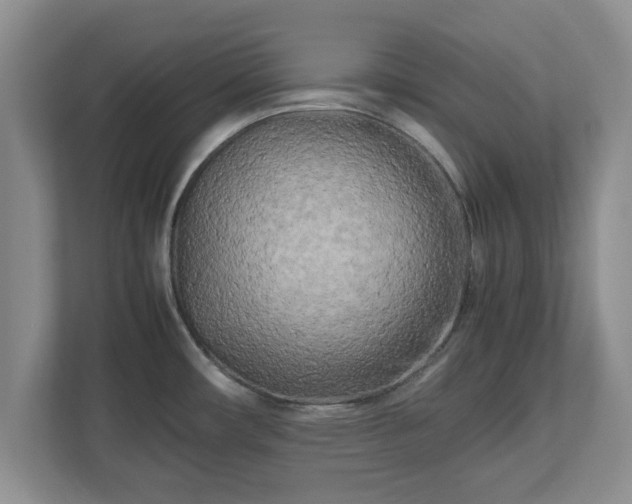 X0000112731482200908271418