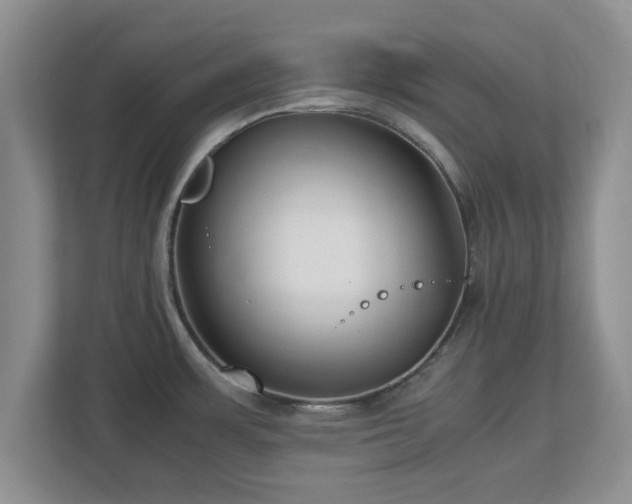 X0000112731483200908271418