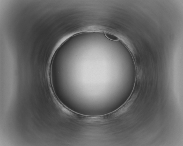 X0000112731486200908271418