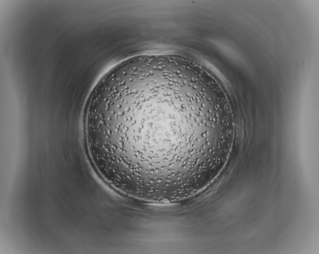 X0000112731487200908271418