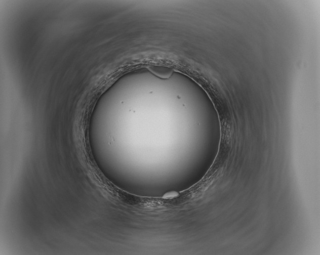 X0000112731489200908271417