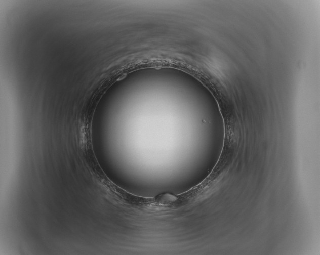 X0000112731490200908271417