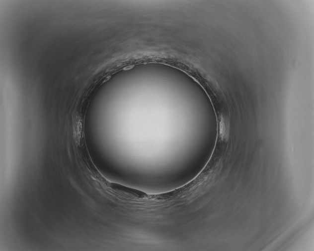 X0000112731492200908271417