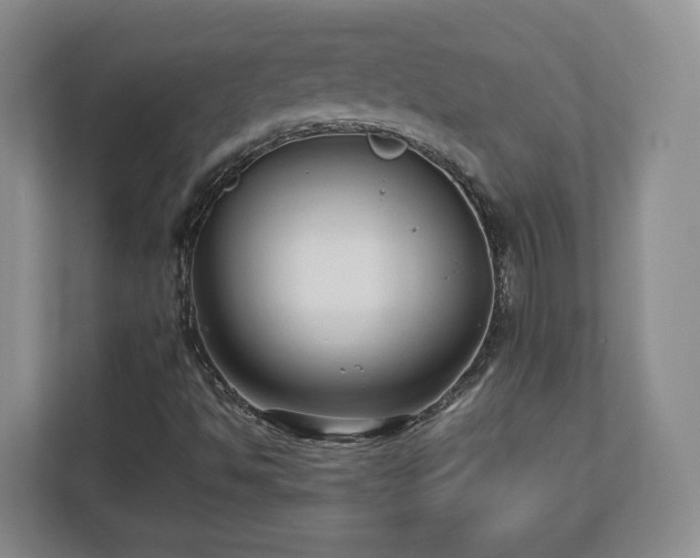 X0000112731494200908271417