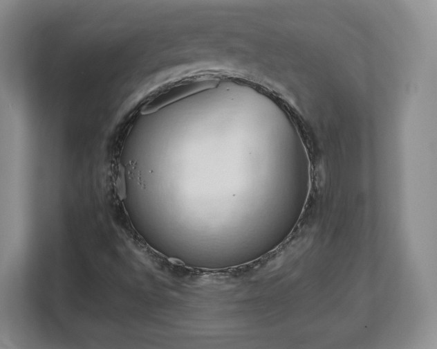 X0000112731496200908271418