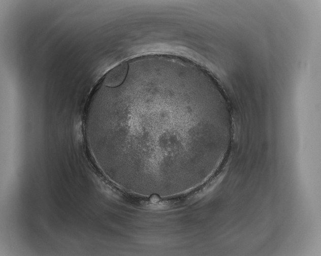 X0000112731497200908271418