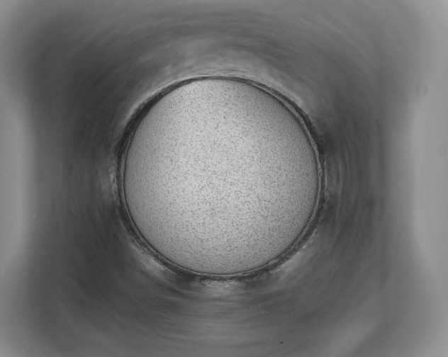 X0000112731498200908271418