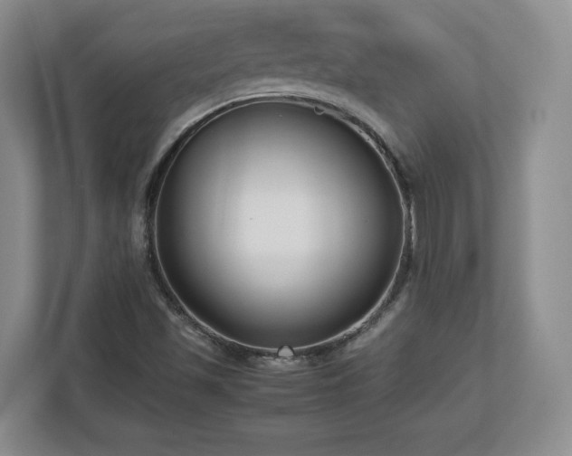 X0000112731501200908271418