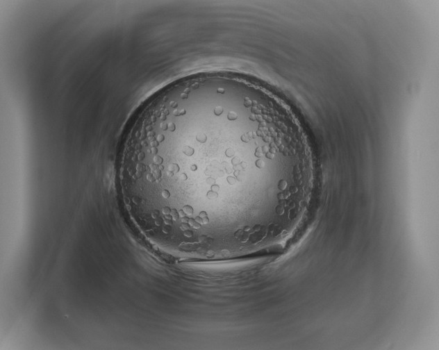 X0000112731505200908271418