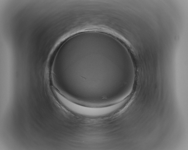 X0000112731506200908271418