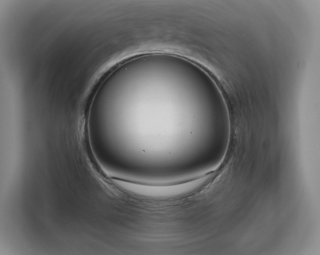 X0000112731507200908271418