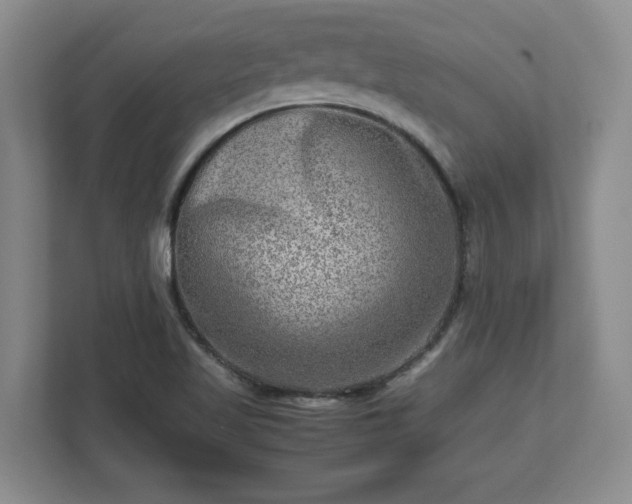 X0000112731509200908271418