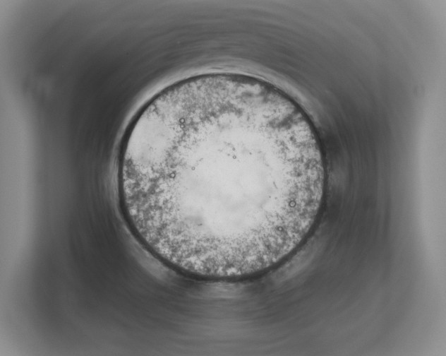 X0000112731514200908271418